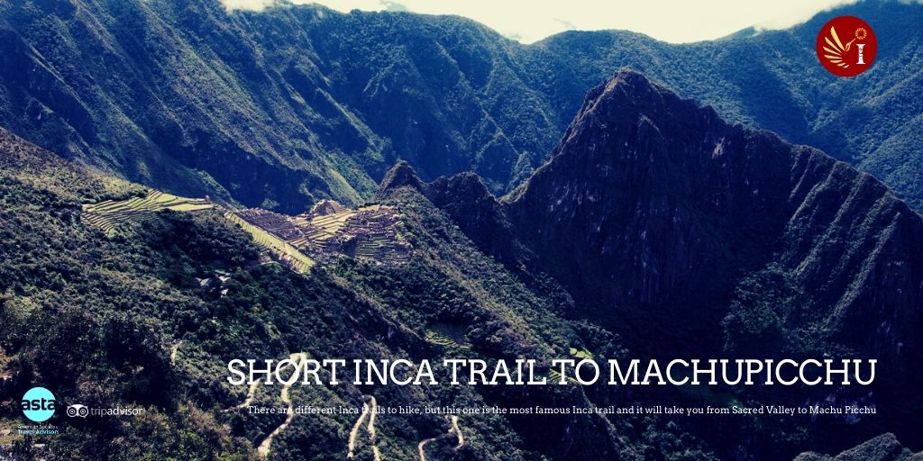 IncaJunglePeru's tweet photo. Short Inca Trail to Machuppichu
 #MachuPicchu

More info:
✅ +51 984 565556
📧 info@incajungle.net
🌐https://t.co/uJ7cDYOosz

#IncaJungle #Trail #MachuPicchu #ITEPtravel #AlternativeTrek #BestTrek #IncaJungletrek #Inkajungletrek #incajungletrip #incajungletrail https://t.co/JTyH4PwKQU