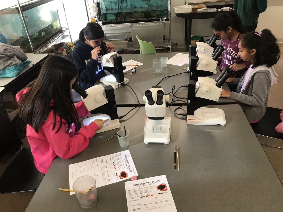 Carrelhasclass's tweet photo. Investigation has begun! #CDI #problemsolving #forensicengineers https://t.co/M7eztxbkU0