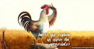 BUENOS DÍAS MIS TUITEROS @zuleimadi @revolucionano @mercedeslouzaod @BontempsCesar @zao25 @PetraYsabelina