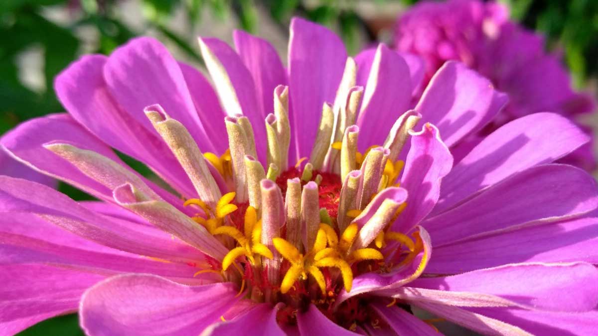 verticalscreen's tweet image. Happy Wednesday!