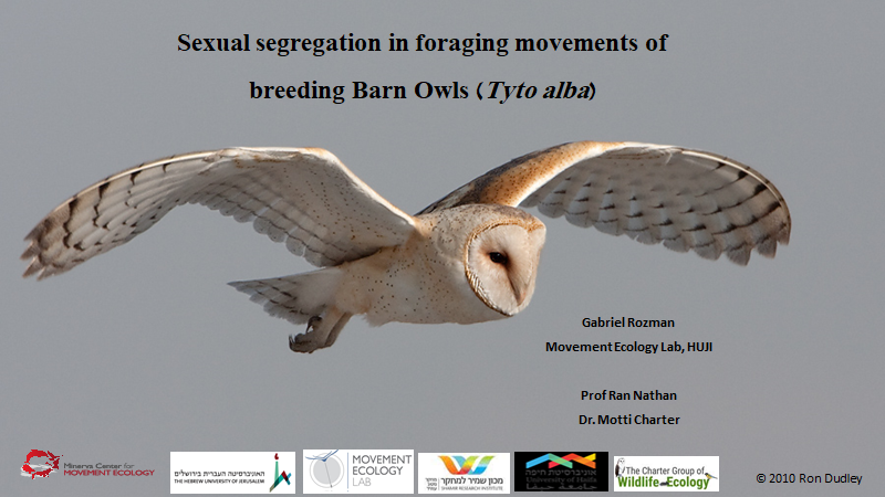 MoveEcolLab tweet media