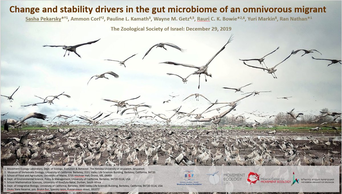 MoveEcolLab tweet media