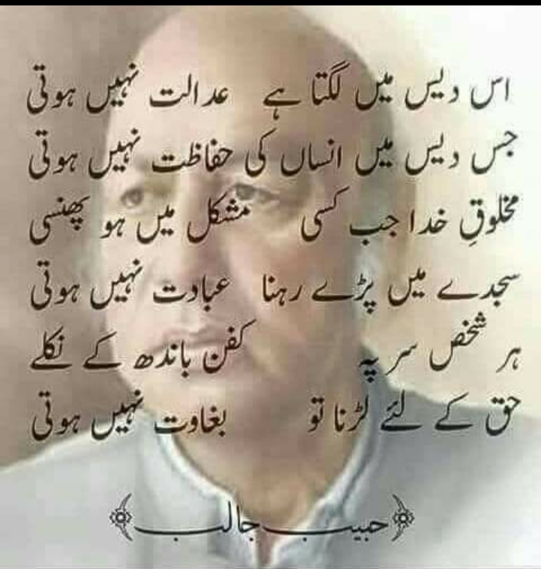 RumyAhmad1's tweet photo. @Rukhsarafridi2 https://t.co/unP7MQ5AGv