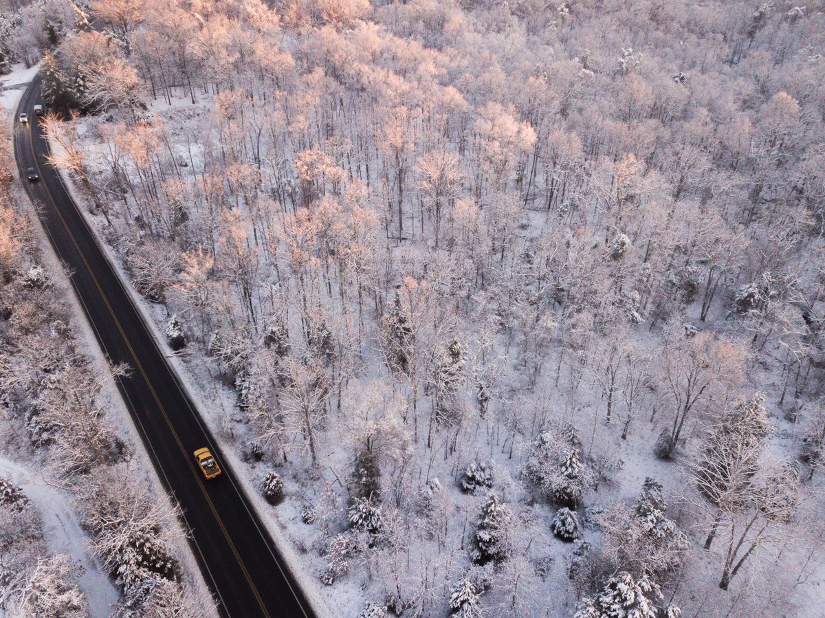 Angela Pan tweet media