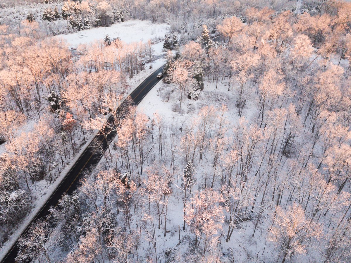 Angela Pan tweet media