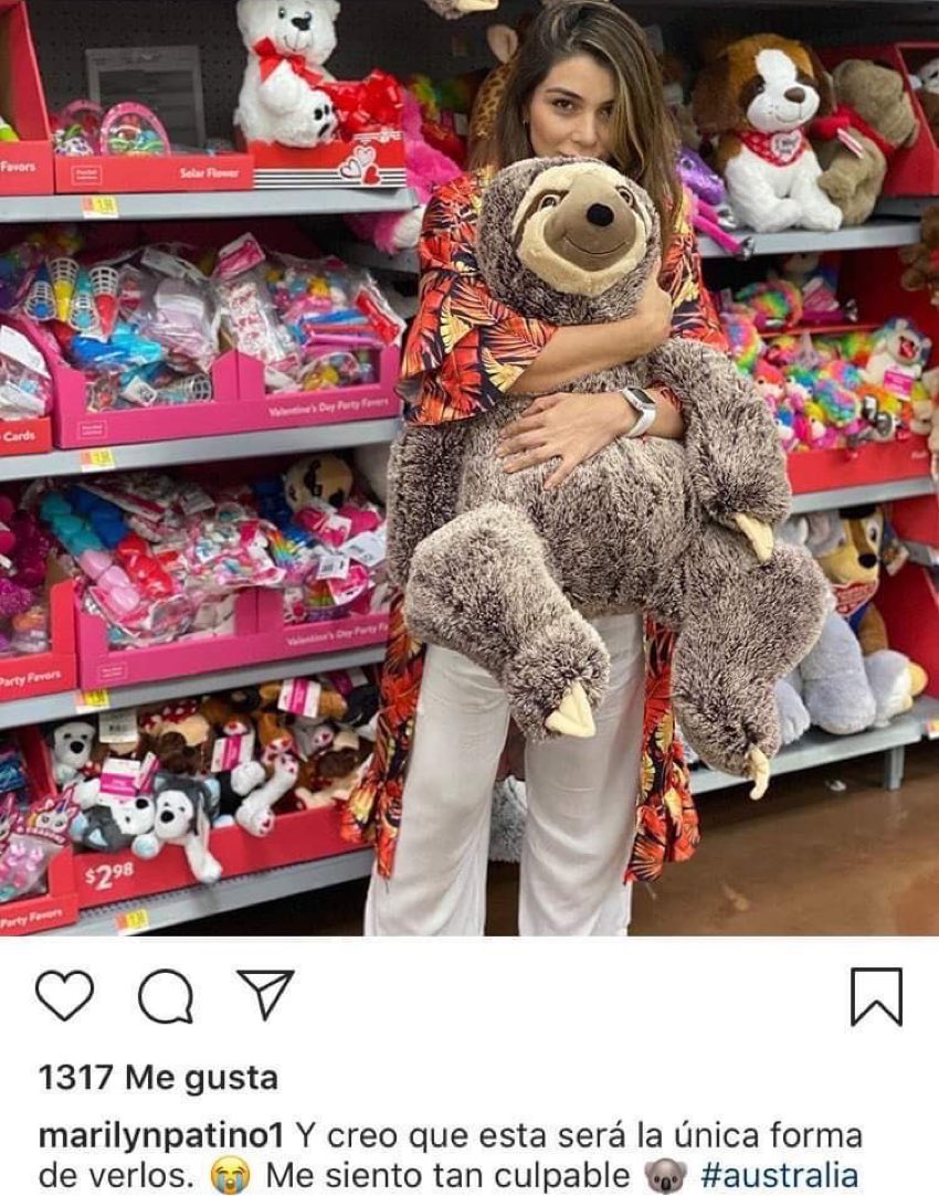 ChumelTorres's tweet photo. Hum. Ese no es un… koala. https://t.co/8OGnwMAqCS