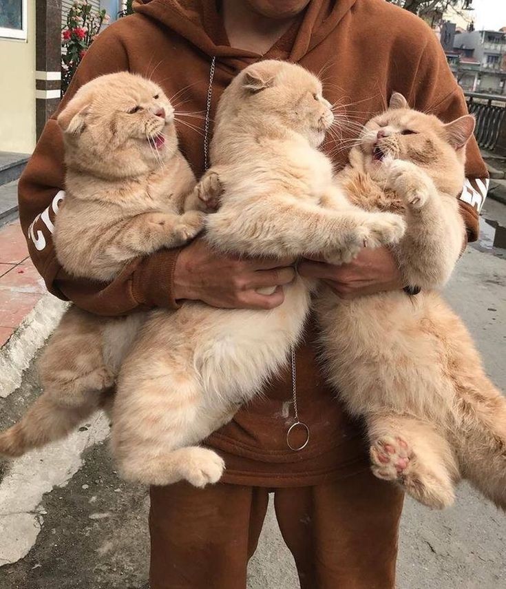 ˗ˋˏ°• Может вы и не знаете, но у меня есть инстаграм, го взаимную подписочку 🐱;💫 •°ˎˊ˗

instagram.com/podderevom?igs…