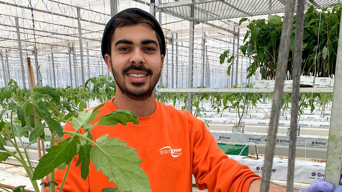 New Year, fresh start! It’s planting week in Albion. #greenhousegrown #freshproduce #shoplocal 🍅🌱