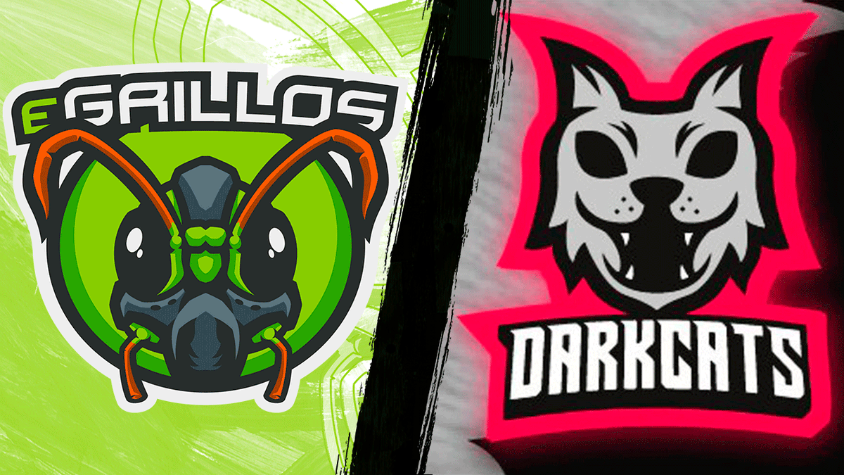 rubenchuki_6's tweet photo. Me complace anunciar el proyecto que vamos a liderar @mmargarita_st @Royma181 y yo

Y es que se va a producir una colaboración entre @grillos_eSports y @ComDarkcats para ofrecer un conjunto de competiciones que se producirán a lo largo de TODO EL AÑO

El proyecto consta de... 1/3 https://t.co/AmgAHQEXrp