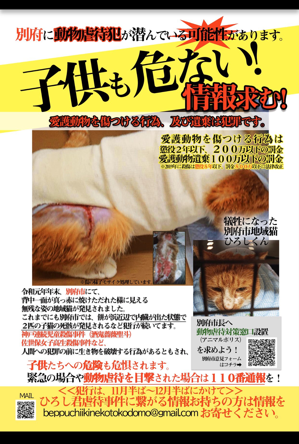 地域猫虐待 Twitter Search Twitter