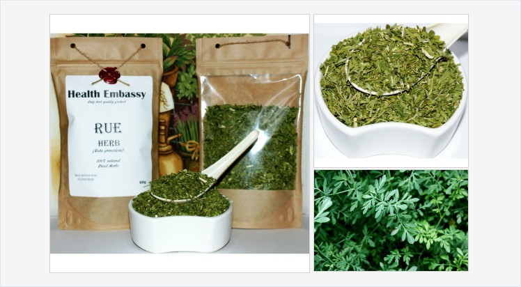 HealthEmbassy's tweet photo. #RueHerb #Rutagraveolens #rue #HealthEmbassy #herbs #herbsuk #herbsonline #rue #commonrue #organicrueherb #herbofgrace #rueherbtea #organicrueherbtea #commonrueherb #natural #vegan #vegetarian #organic #herbaltea #naturaltea #organictea #healthytea #tea https://t.co/N9lWFHsDB1 https://t.co/W0SNNIzCJg