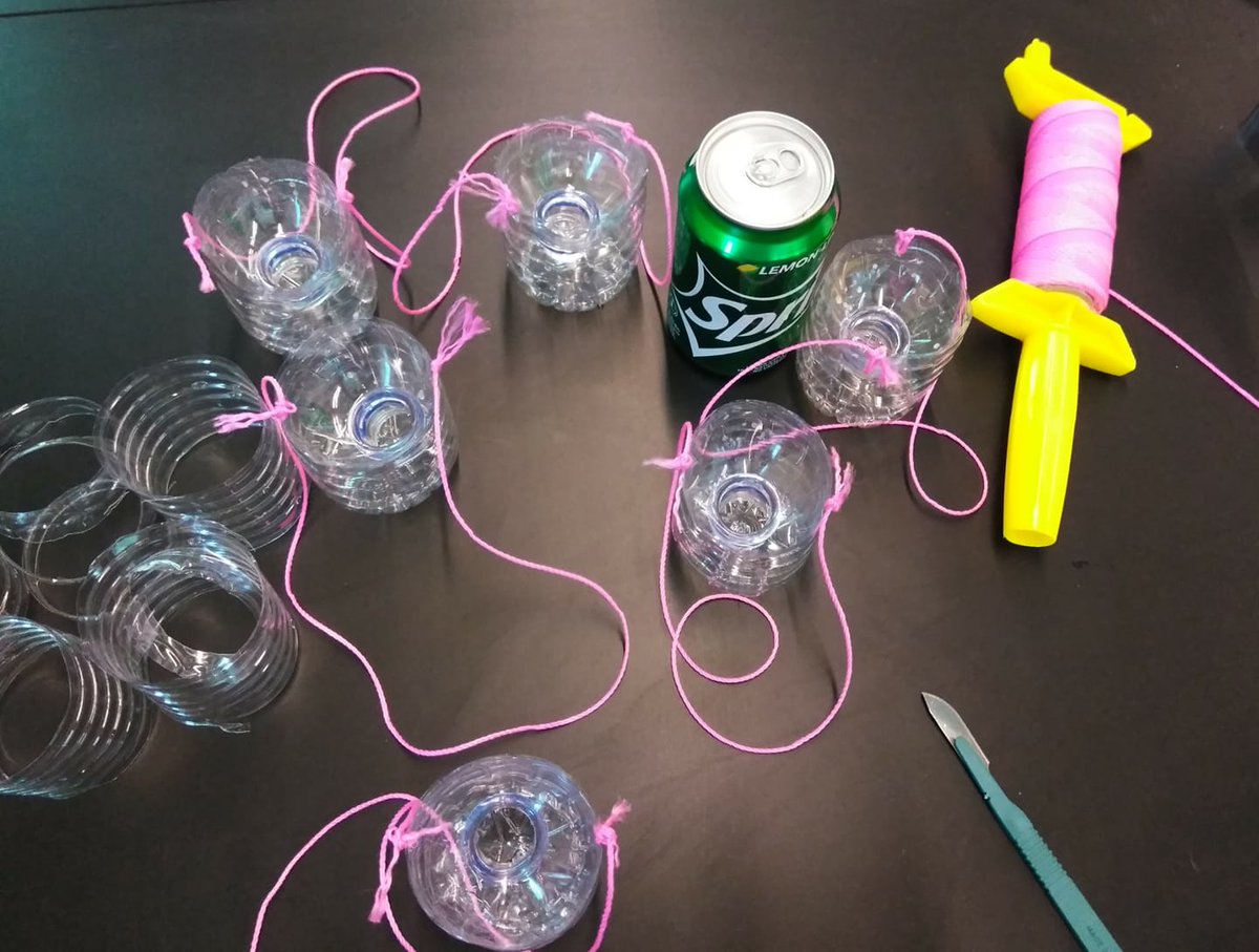 ROV_Erica's tweet photo. #fieldgear today Setting up to become a #MangroveDetective @spcnews #STEMCenter Looking forward to seeing what we get in our #insecttraps apparently they like @Sprite Will know in #24hrs https://t.co/8WB5rzi50S