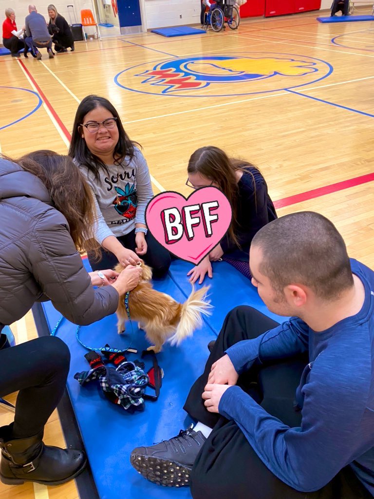 Ms.McGowan tweet media