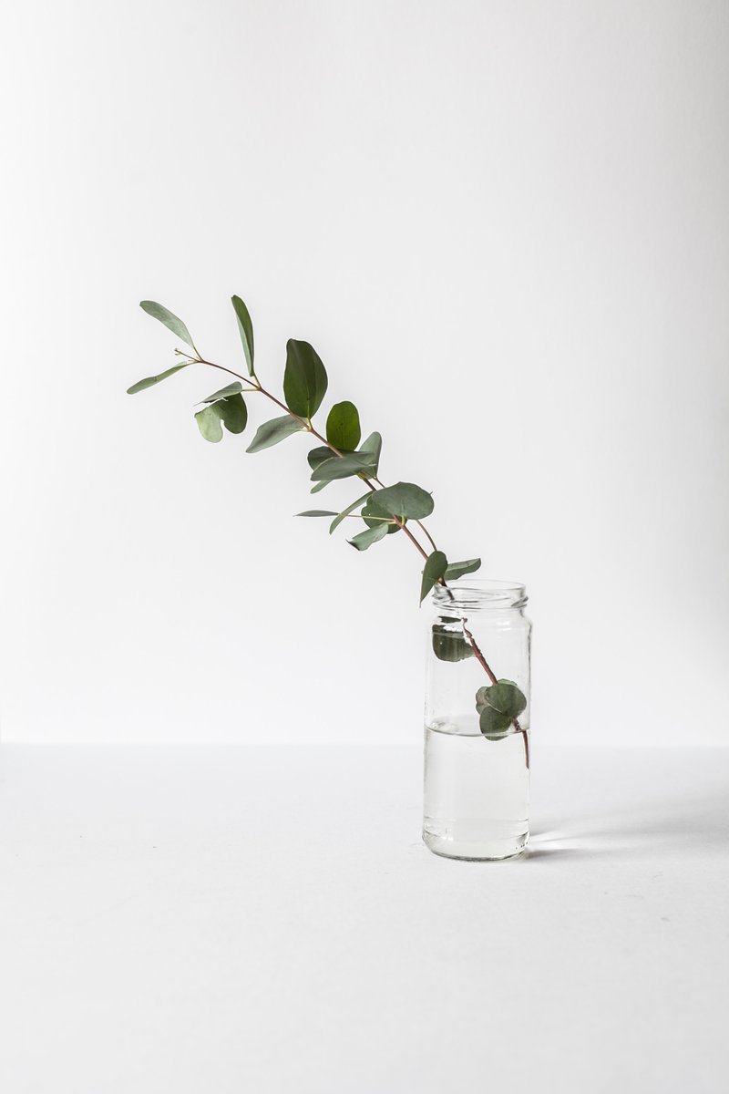 bathsavvy's tweet image. Feeling congested? Having a hard time breathing?
Try our eucalyptus mint #showerbombs.
1-Turn on the shower
2- Let it steam up a little (or a lot)
3- Thrown a bomb into the back of the stream so that it is barely getting wet
4-Get in and start breathing 
#greatforcoldseason
