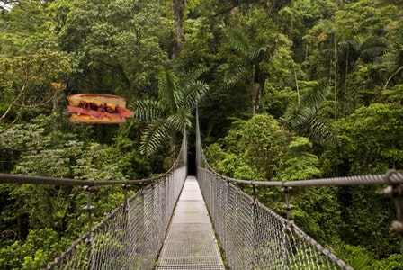 Stoney's on L tweet media