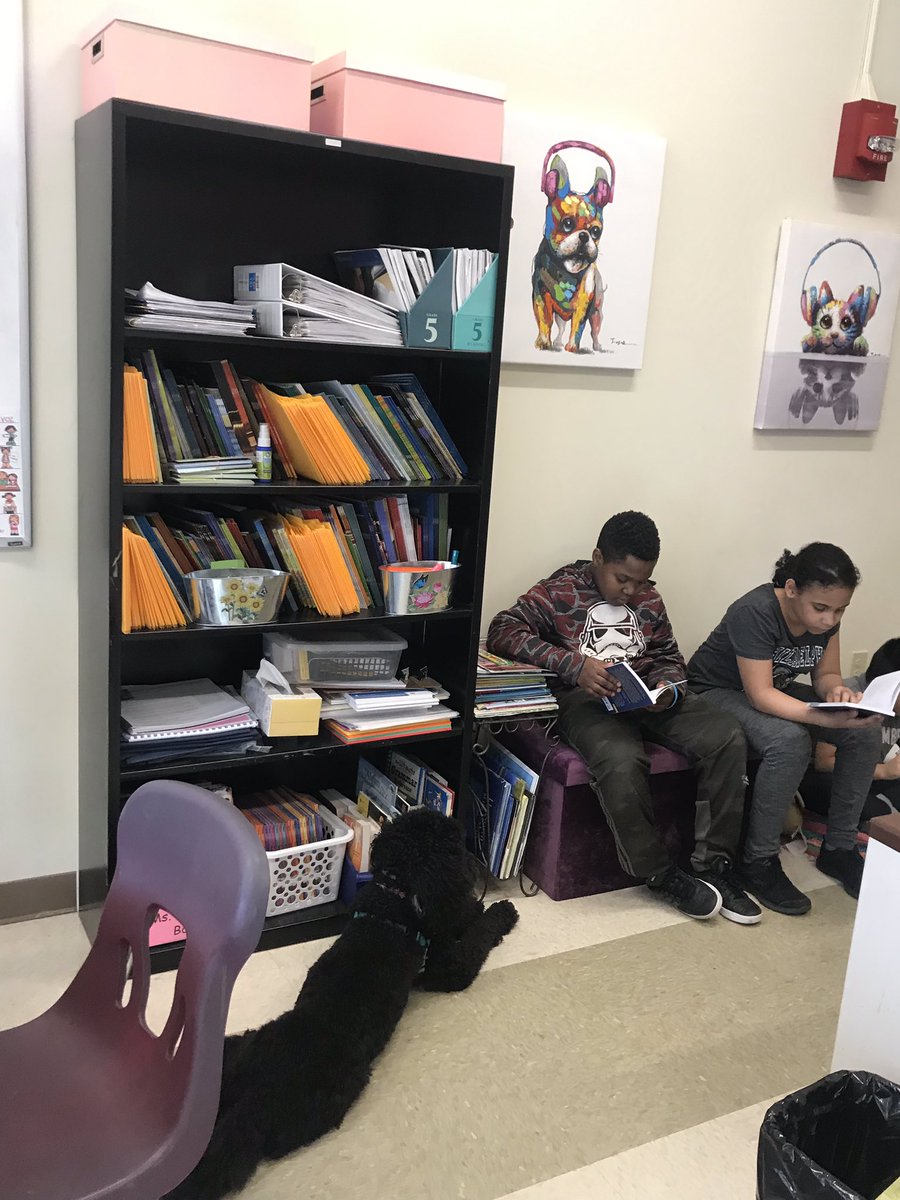 MsVaccaroClass's tweet photo. It may be a New Year but it’s business as usual with Peaches! Lots of learning, reading, and writing with Peaches along side us on the journey! @OssiningSchools @RoosPrincipal4 @BrandonBeckEDU @MrsDierking @Muttigree https://t.co/AQWmSvFTNK