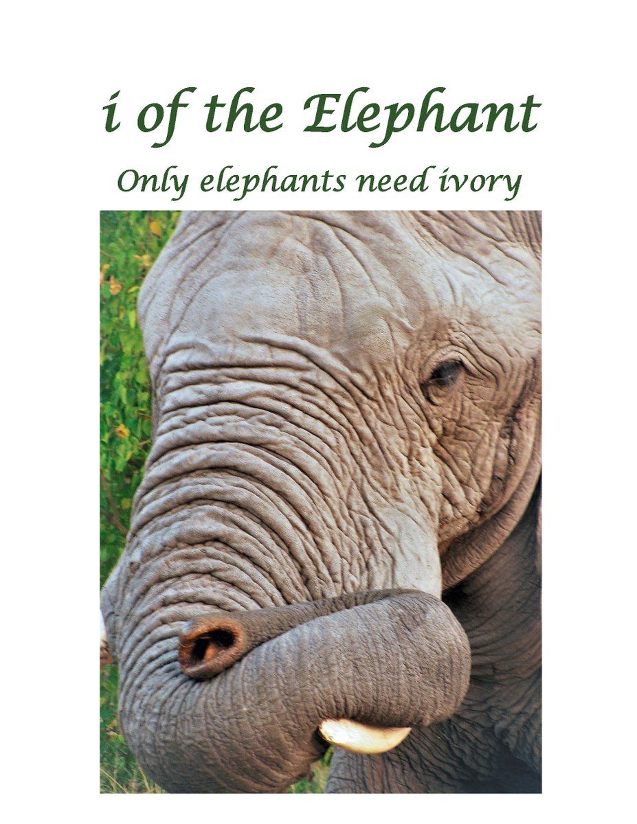 A major seller of illegal ivory has just been busted in New York based on intel from our free mobile app: i of the Elephant. This was the fourth largest online seller of ivory in the country. Join the fight against the ivory trade: bit.ly/2tSCqxJ #antipoaching #elephants