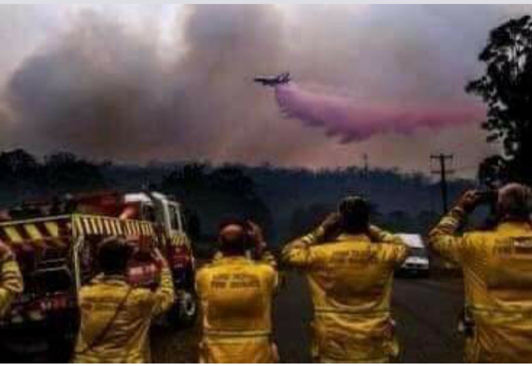 Solidaridad1000's tweet photo. Tenemos la obligación de saber y difundir lo que está sucediendo en #Australia 
En los incendios han muerto 💀 millones de animales y su medio ambiente! 
Un pulmón del planeta 🌎 se está perdiendo! 
#PrayForAustralia https://t.co/e6n10tQ9zn