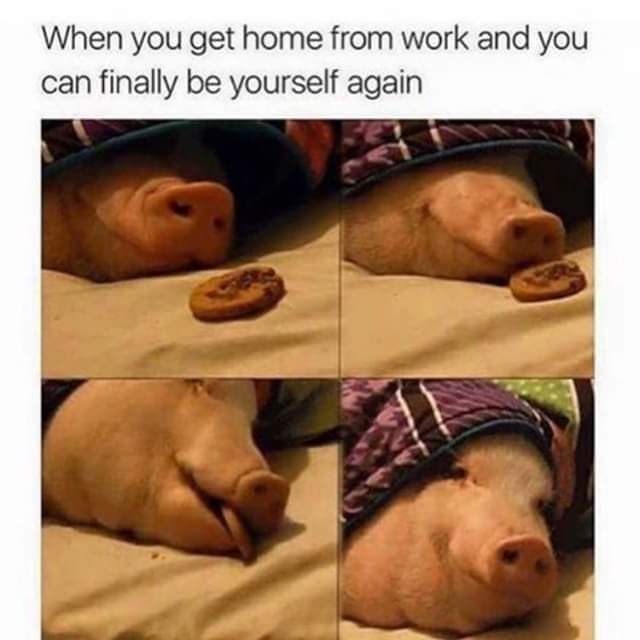#life #HappyHumpDay