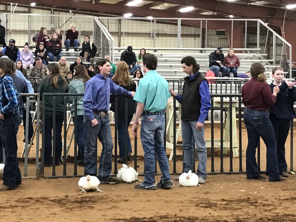 Allen FFA tweet media