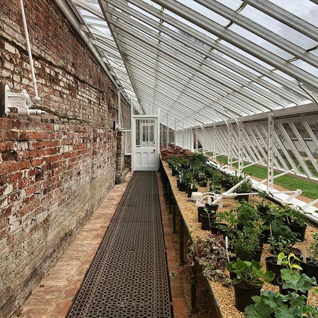 Somersalt tweet media