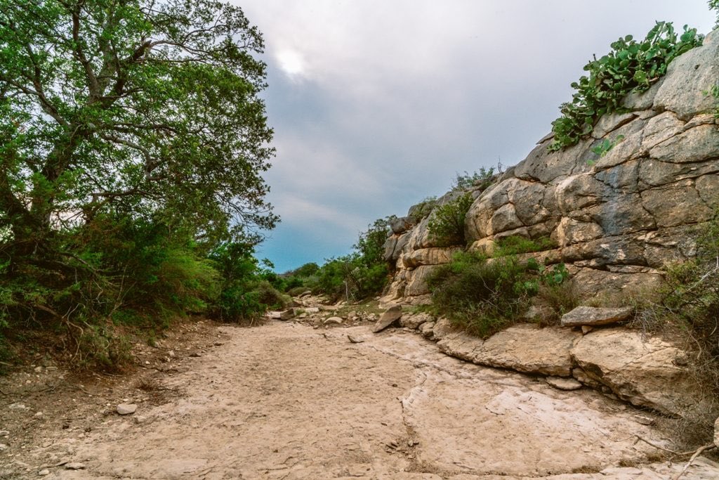 TX_Ranches4Sale's tweet photo. This 8,600 acre ranch in West Texas provides plenty of room for livestock and an excellent game population of mule deer, whitetail, and blue quail!

#buylandlivewell #westtexas #westtexasranches #huntingranch #livestockranch #ranchland #landsofamerica #landsoftexas #betterouthere https://t.co/uRu2LR3tmg