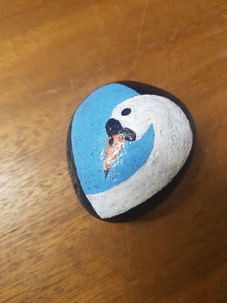 JulesLewis6's tweet photo. What a lovely gift to the #EOLCTeam from the fabulous TNA @HanCareyy #MemoryStone #SwanScheme @sathNHS #Kindness thank you 😘 https://t.co/JzfYpsfdDw