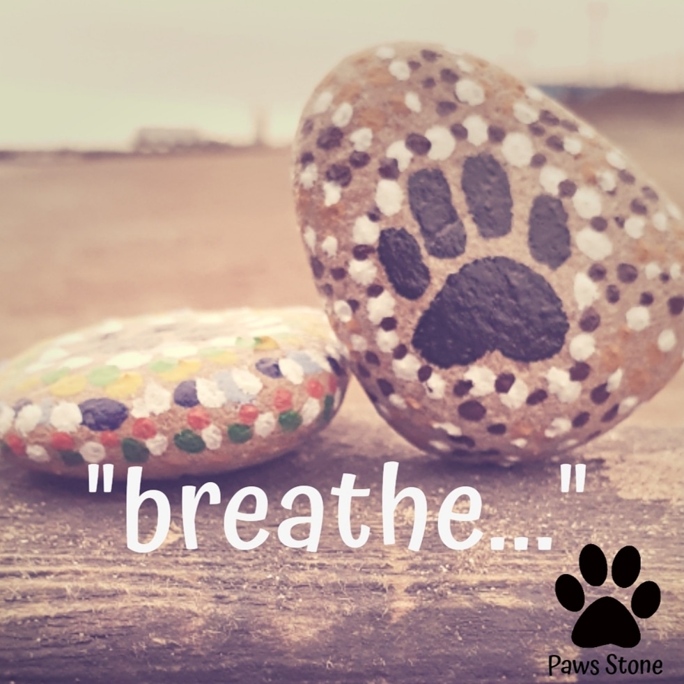 PawsStone tweet picture