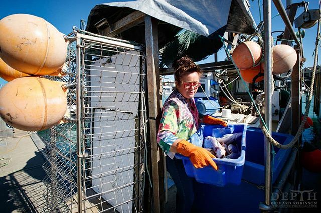 DepthNZ's tweet image. Fishers who lease quota from processors are usually required to sell their fish to them—but because he owns his quota, Karl Warr’s wife Sarah is able to market his fish directly to customers, and can catch about a quarter of what he used to for a better … ift.tt/37Oy0XA