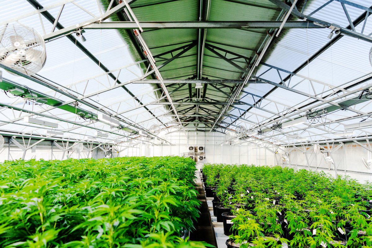 One Plant tweet media