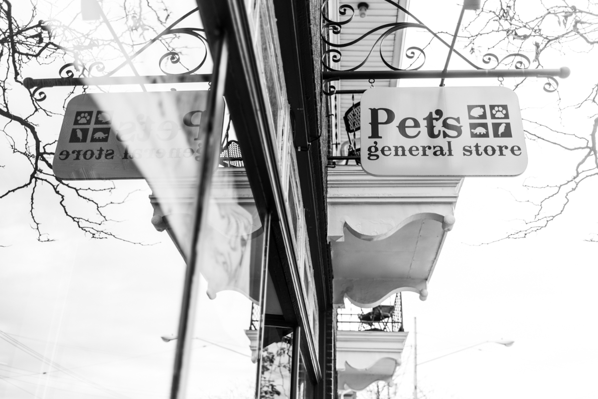 PetsGenStore's tweet image. If you're looking for a store that combines quality and value, you're in the right place.