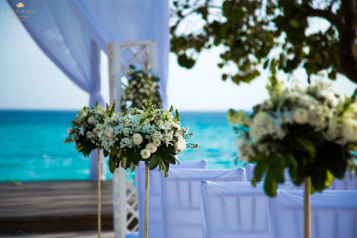 In #DreamsDominicus, we have the perfect scenario for the #DestinationWedding of your dreams! ❤️ Let our team of expert #Wedding Planners take care of every detail of your special day! #WeddingWednesday bit.ly/WeddingsDreams…