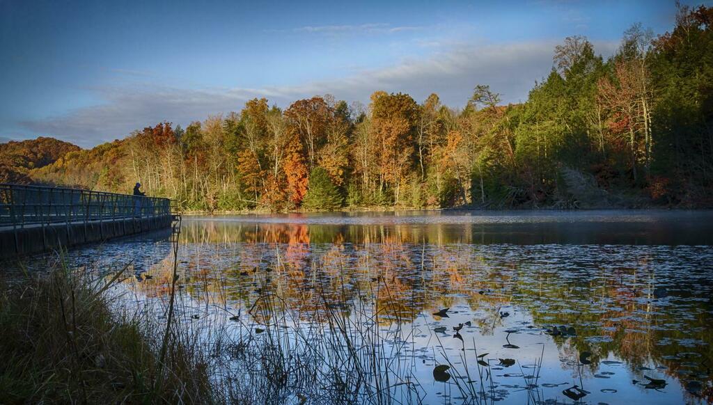 You can see a few of my photos on the Bays Mountain page at TNVacation.com! (including the preview image below) ift.tt/35FP5l7