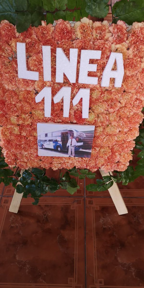 Linea 111 Transantofagasta oficial tweet media