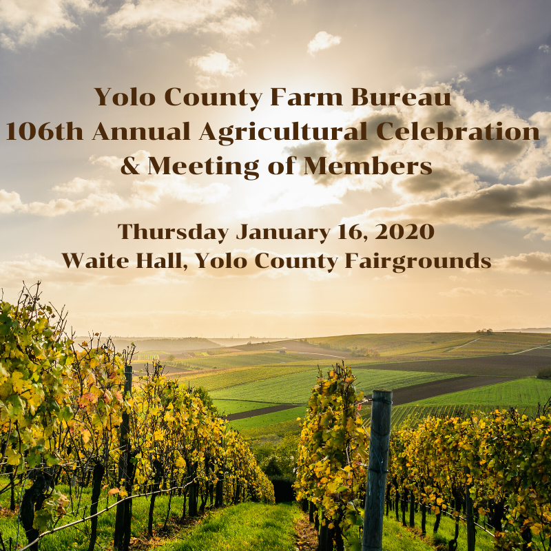 Yolo County Farm Bureau tweet media