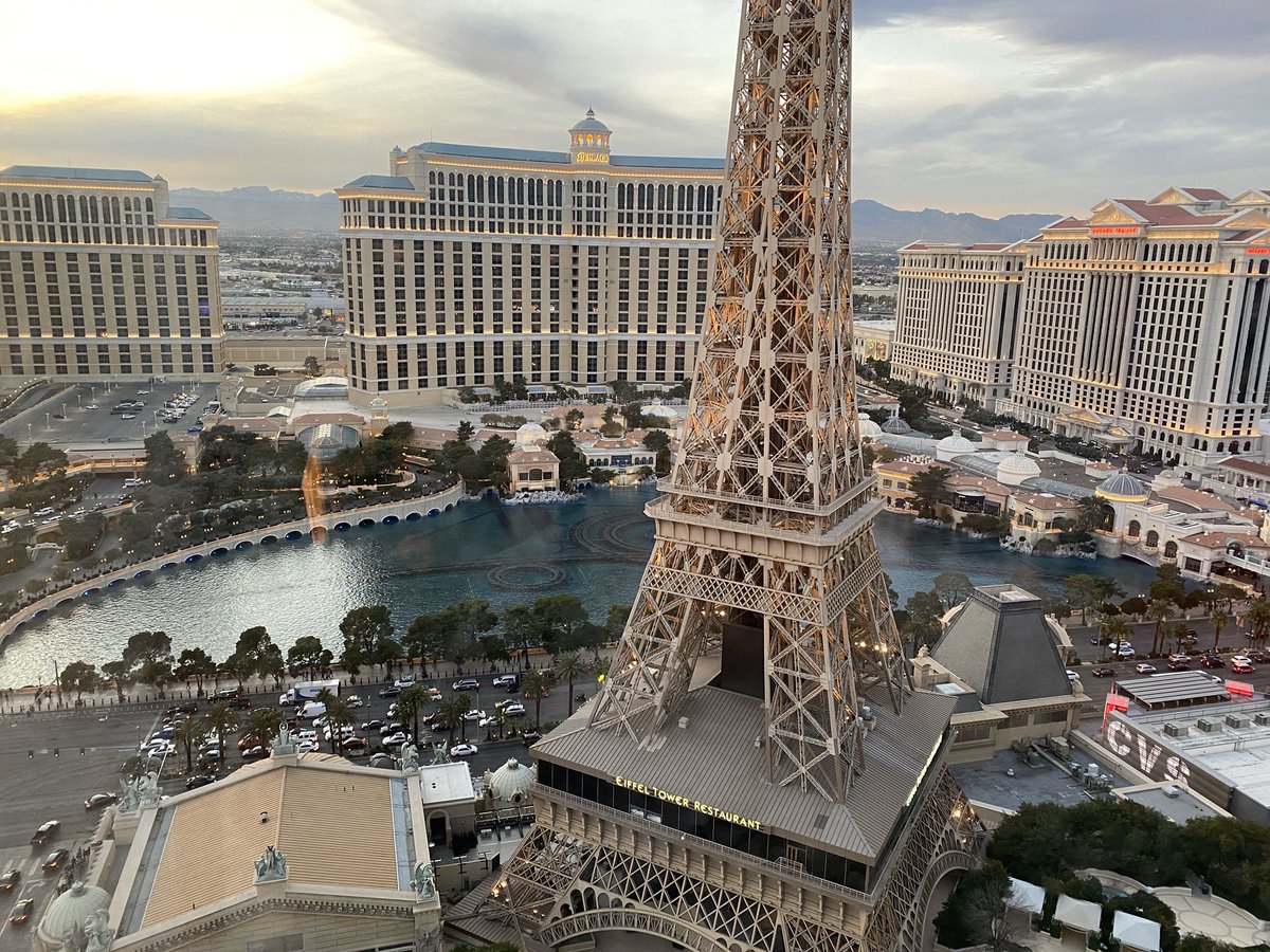 Rayshaper tweet media