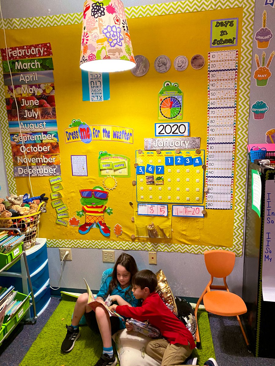 MrsShell_TDA's tweet image. We ❤️ our cozy reading corner! #davisk