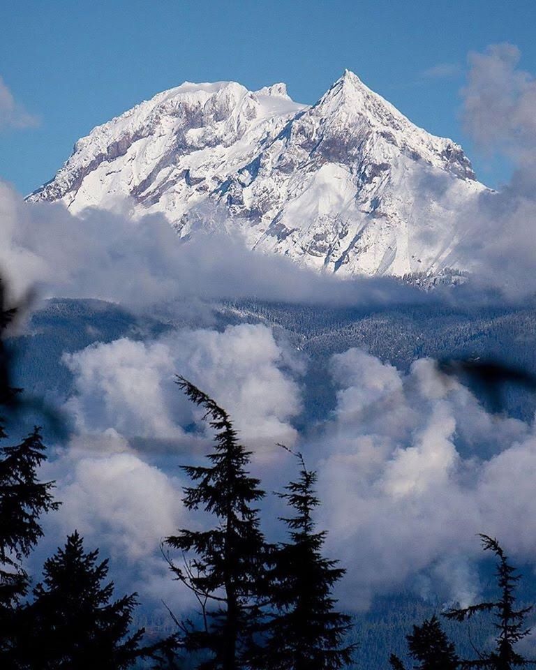 squamishconnect's tweet photo. "Everyone wants to live on top of the mountain, but all the happiness and growth occurs while you are climbing it." We're looking forward to riding together in 2020. No matter what mountain you're attempting to summit this year... you got this! 📷 @valeri_miracleinme https://t.co/t9DQ5XPVgs