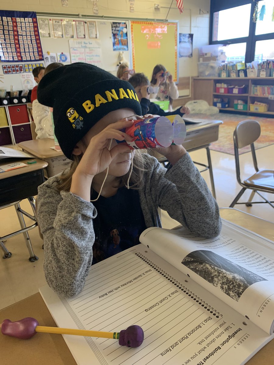 MrsCNettesheim's tweet photo. Today we made binoculars and we are exploring the rain forest habitat! We 💚 Science! #ScienceIsAwesome #LearningLastsForever #dg58learns #dg58pride https://t.co/bm3y6UzJE4