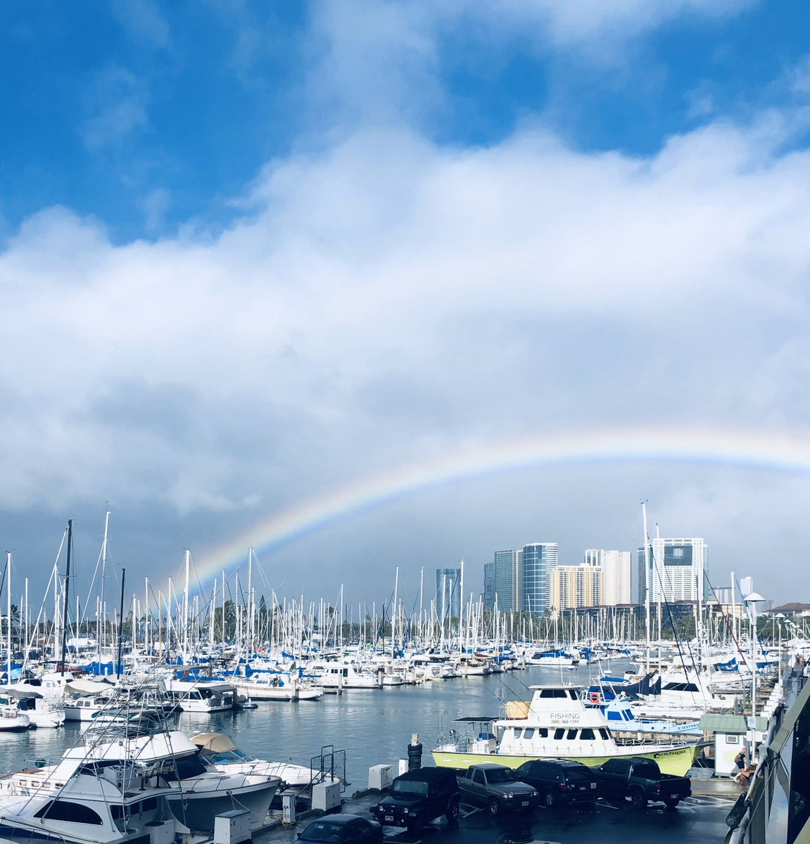 CarlaStack tweet media