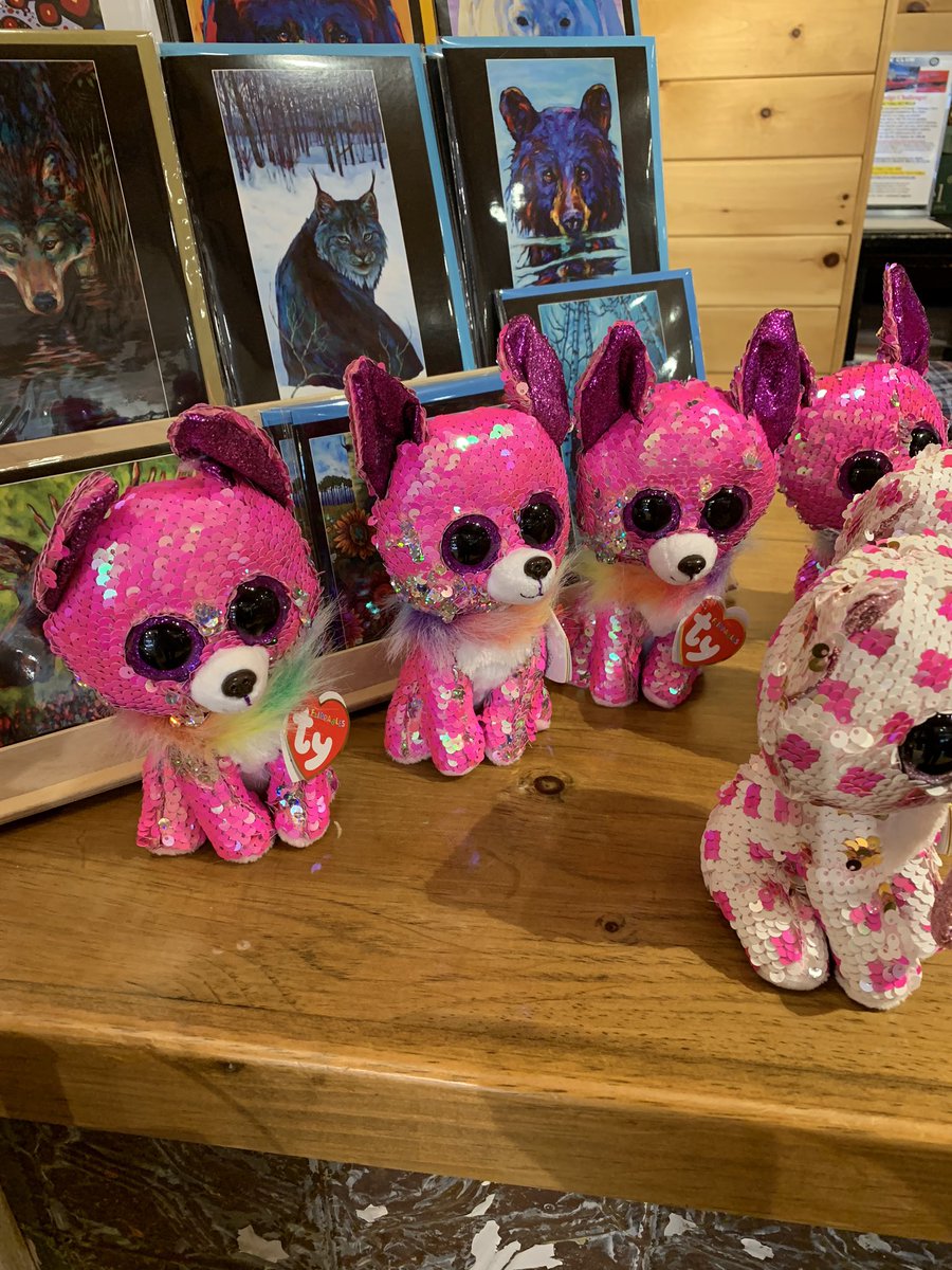 kawarthastore's tweet photo. Look who just arrived @thekawarthastore Cupid ๐ & Charmed from ty, just in time for Valentineโs Day. Stock is very limited so get in so you wonโt be disappointed! #stuffies #tystuffies #valentines #cupid #charmed #fenelonfalls #kawarthalakes https://t.co/FGbMJyy3j3