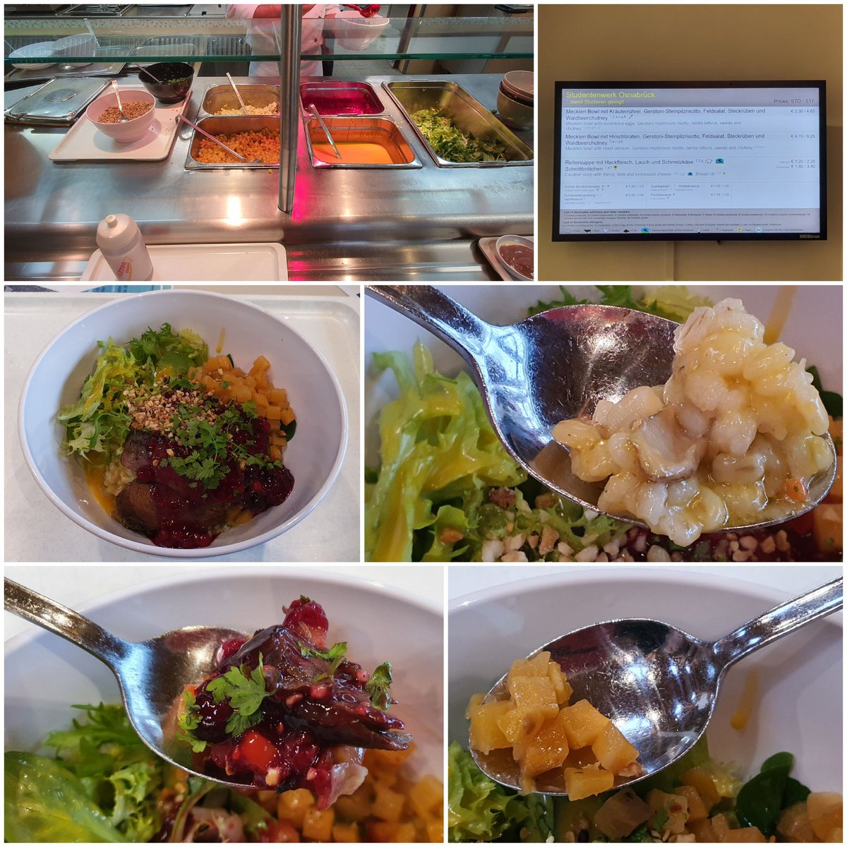 Pees_Ps's tweet photo. #Buddha- bzw. #Mecklen-#Bowl mit #Hirschbraten, #Gerstoni-#Steinpilz-#Risotto, #Feldsalat, #Steckrüben & #Waldbeer-#Chutney inner #Mensa #Osnabrück - köstlich trotz der Absage an Bowls in der ZEIT (nach der Bezahlschranke https://t.co/iTfHuNl6X5) https://t.co/diJrlZdwBp
