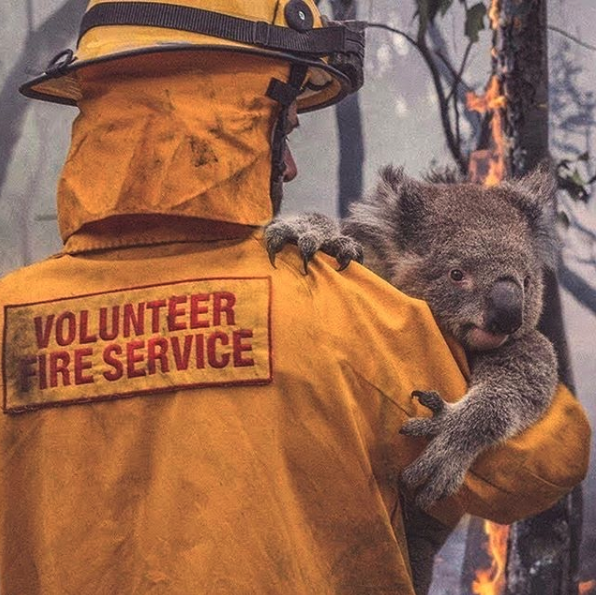 JHAudio's tweet photo. Everyone here at JH Audio is devasted by the fires all over Australia. Help us support those affected by donating.
Donate here: https://t.co/3dHtwcAk35
 
We also want to help the animals affected too.
Donate here: https://t.co/LjcMPOCfqp

Every donation makes a difference. 👫🐨🦘 https://t.co/Qw08vx96L8