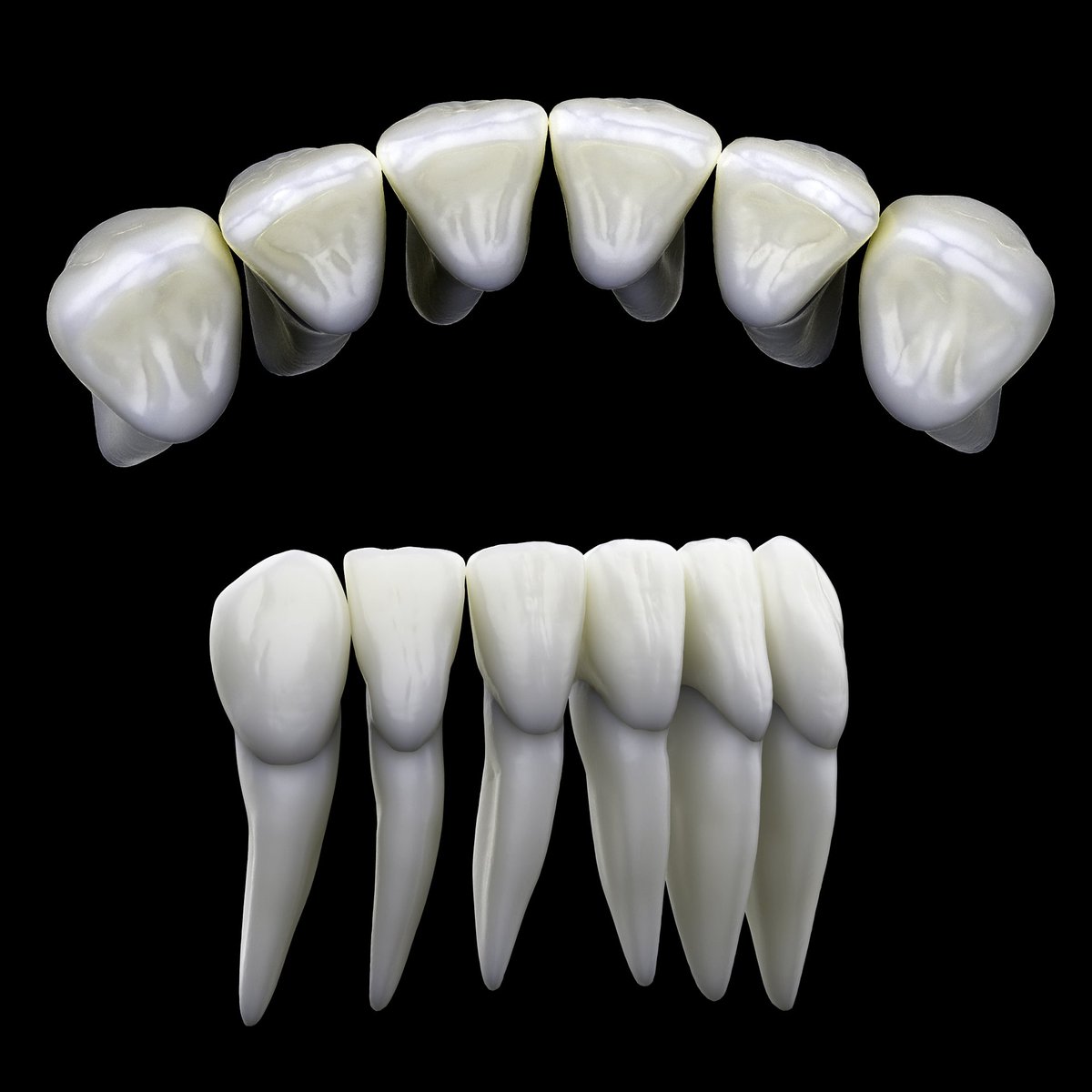 LorantStumpf's tweet photo. https://t.co/K4aZHuH8Qc
#cadcamdentistry, #dental, #teeth, #dentist, #digitaldentistry, #dentallab, #cadcam, #crowns, #implant, #digitaldentallaboratory
#3shape, #3shapetrios, #3shapedesign, #cadsoftware, #ivoclar, #ivoclardigital, #exocad, #dentalcrown, #anatomy, #stl https://t.co/N4eroHmWJ3