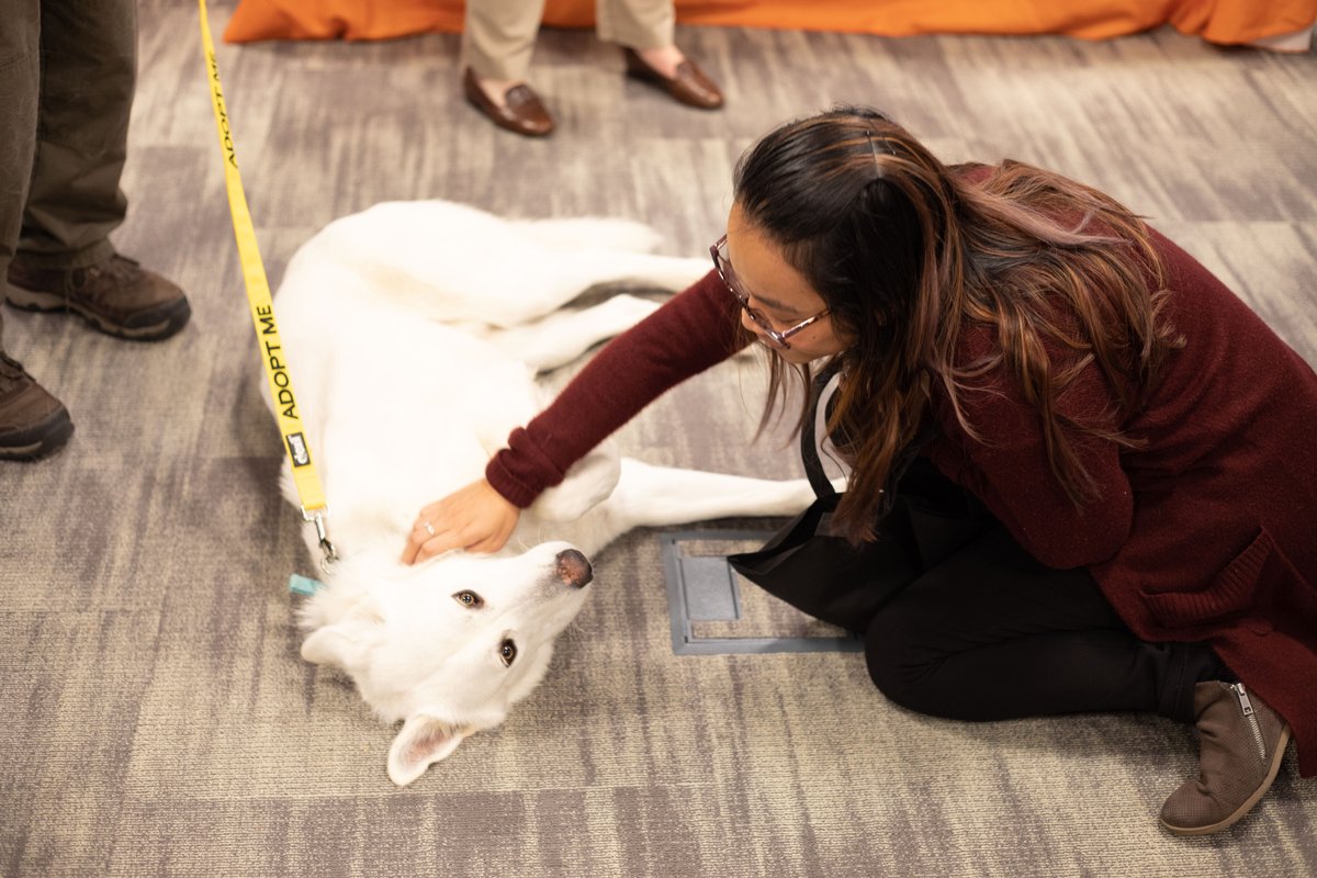 LifeAtKoch's tweet photo. Employees at our Wichita campus met with local wellbeing experts to learn more about living a well-rounded lifestyle–puppies and kickboxing included. #LifeAtKoch https://t.co/BFv5xlgGrq