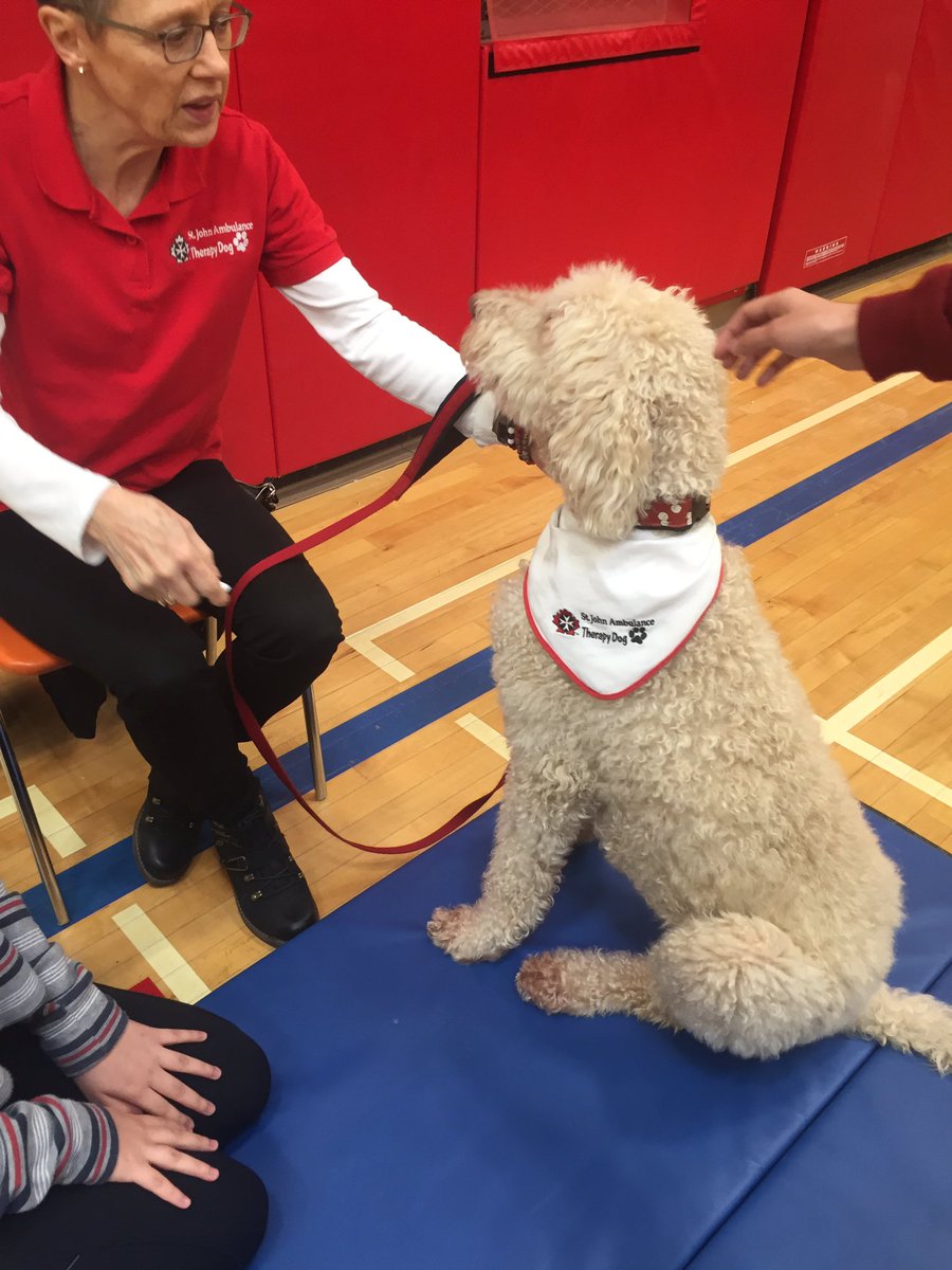 oakridge social justice tweet media