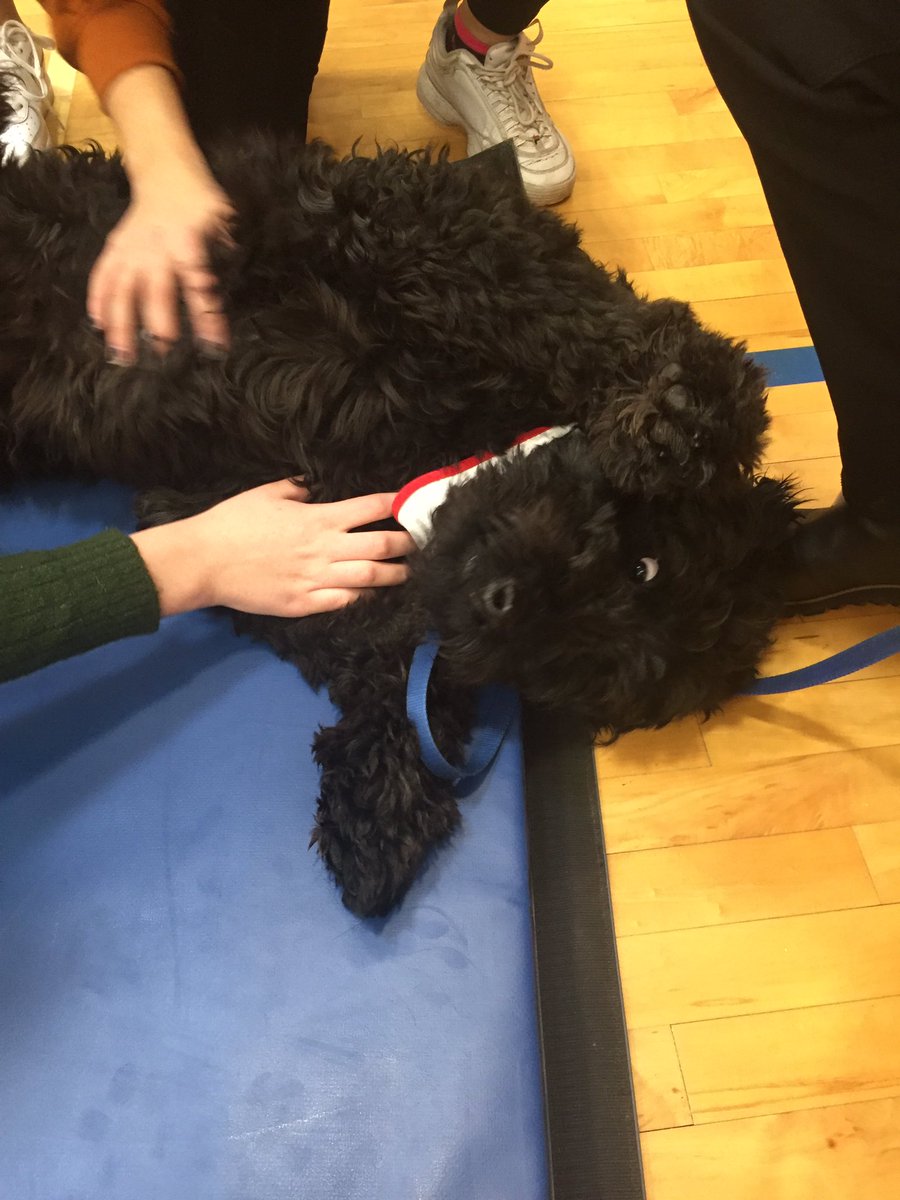 oakridge social justice tweet media