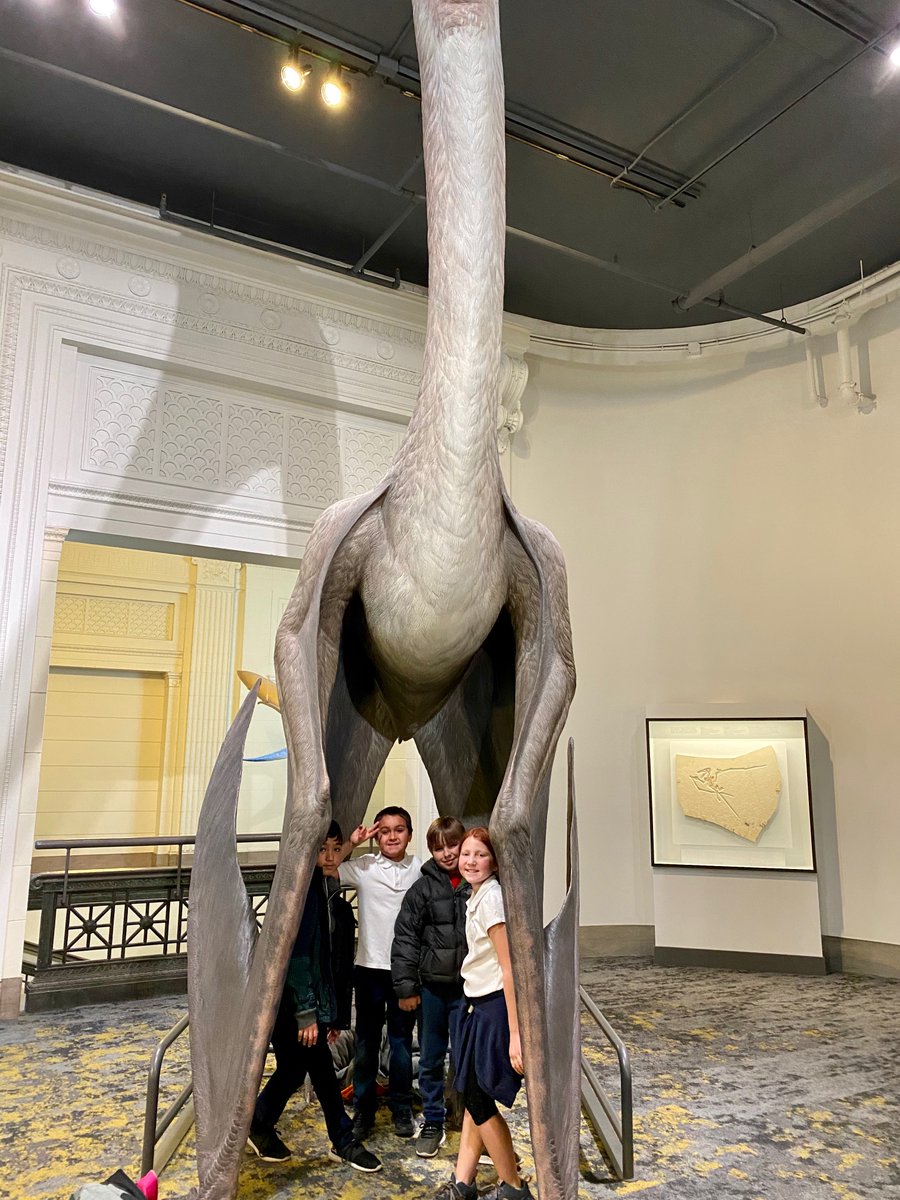 MrsFrancese1's tweet photo. Another successful field trip!  Thank you @62Foundation for allowing our students to experience the Field Museum!
#62no https://t.co/q1uRCBXOqW