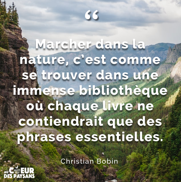 Au Coeur Des Paysans Marcher Dans La Nature C Est Comme Se Trouver Dans Une Immense Bibliotheque Ou Chaque Livre Ne Contiendrait Que Des Phrases Essentielles Christian Bobin T Co Klamu6nz3a