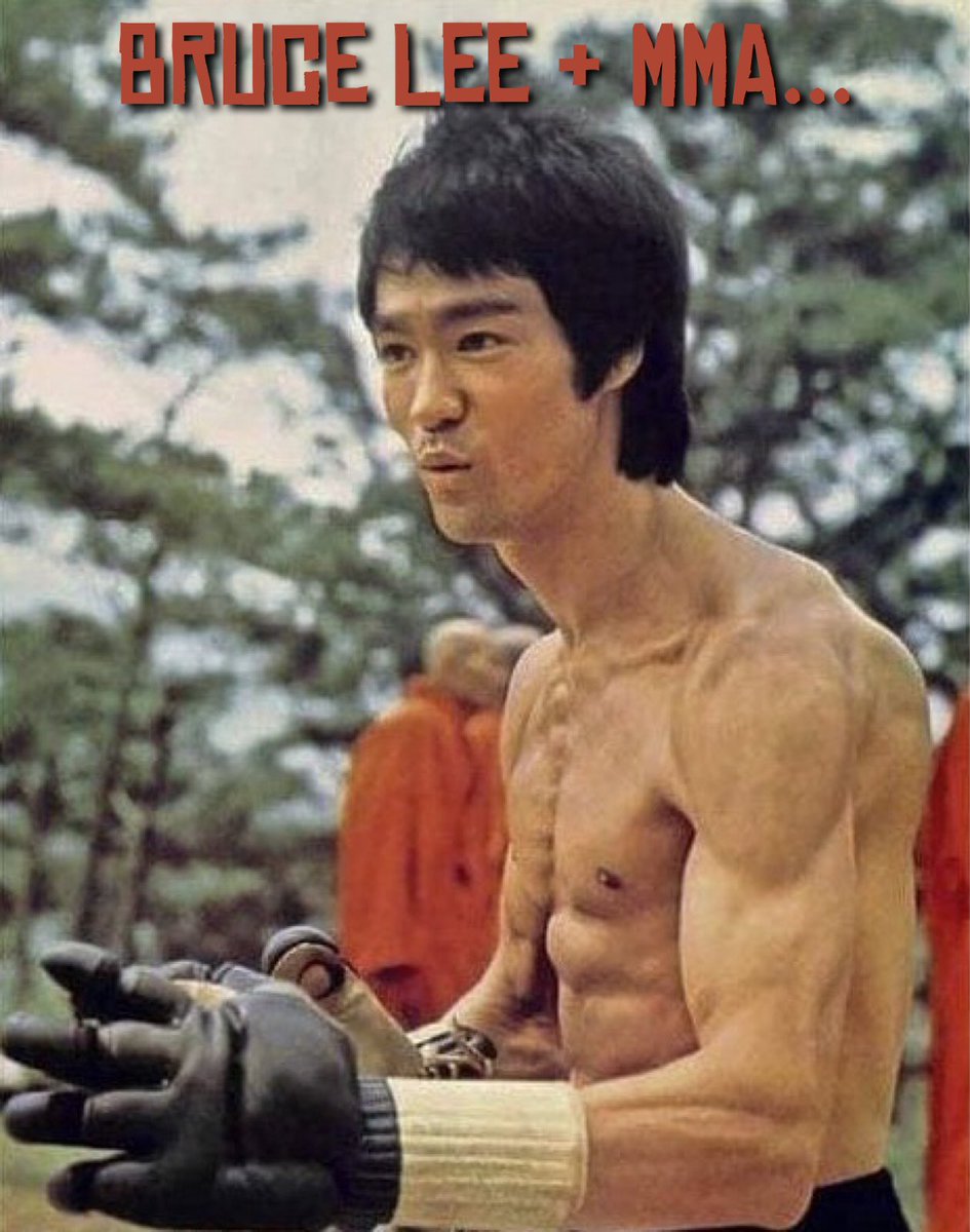 bruce lee best fighter